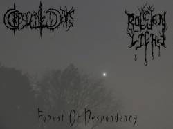 Rotten Light : Forest of Depondency